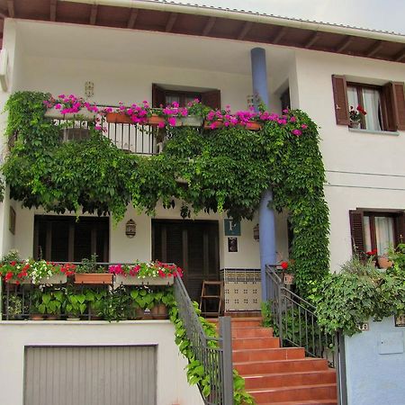 Pension El Peregrino De Larrasoana Exteriör bild