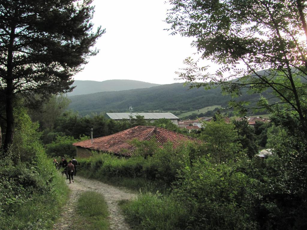 Pension El Peregrino De Larrasoana Exteriör bild